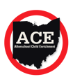 How much does it cost to use Merit or the Ohio ACE program?